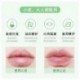 DNM a variety of fruit-flavored moisturizing lip balm 18 color moisturizing base lip balm durable moisturizing single cross-border wholesale