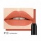 DNM Velvet mist Matte Lipstick Pen 19 Colors Waterproof Long-lasting rotation Lip Gloss Cosmetic colorfast Lipstick Pencil 531