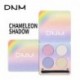 DNM four-color eye powder chameleon high-gloss matte glitter polarized eye shadow makeup set with brush