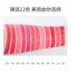 Dnm Velvet Matte Fog Surface Is Not Easy To Get Rid Of Makeup Not Stained With A Cup Of 12 Color Lipstick Lipstick Color Easy
