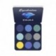 DNM 9 Color/Set Eyeshadow Plate Matte Waterproof Non Glossy Pearl Pumpkin Earth Compact Colorful Eye Shadow Palette Makeup